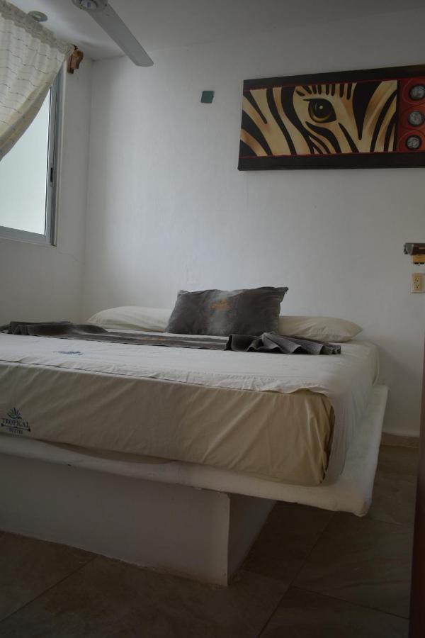 Tropical Suite Los Ayala Eksteriør billede